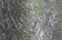 Coalpit Hill fibreglass roof work